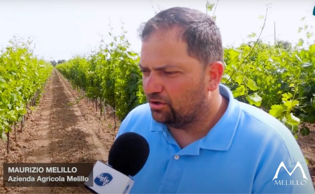 intervista a maurizio melillo foglie tv