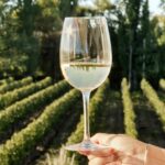 vini bianchi salentini Melillo